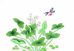 国画花鸟