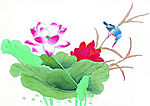 荷花 喜鹊