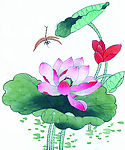 荷花 蜻蜓绘画