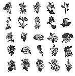 各种线描花卉元素矢量素材