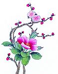 国画花鸟