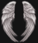天使翅膀PSD文件