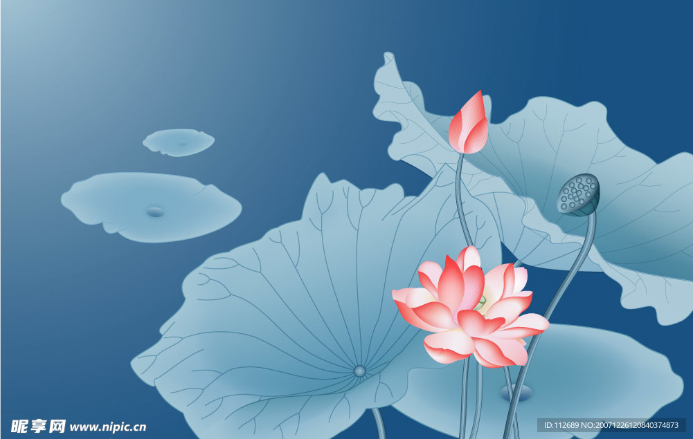 荷花