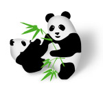 熊猫