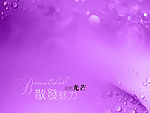 婚纱模板  PSD格式