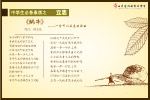 周杰伦，蜗牛