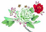 花鸟国画