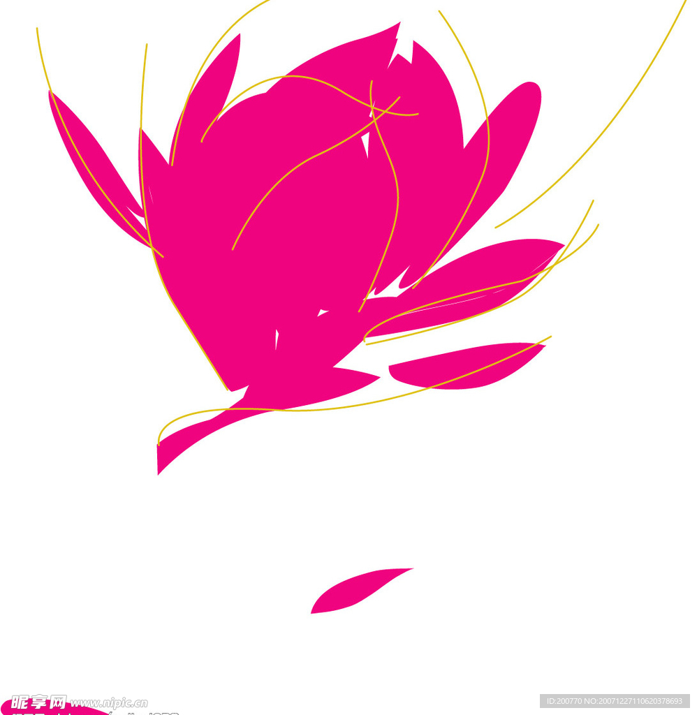 荷花