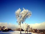 梦幻雪景