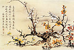 寒梅