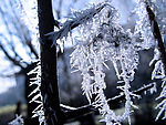 梦幻雪景
