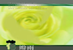 花瓣雨
