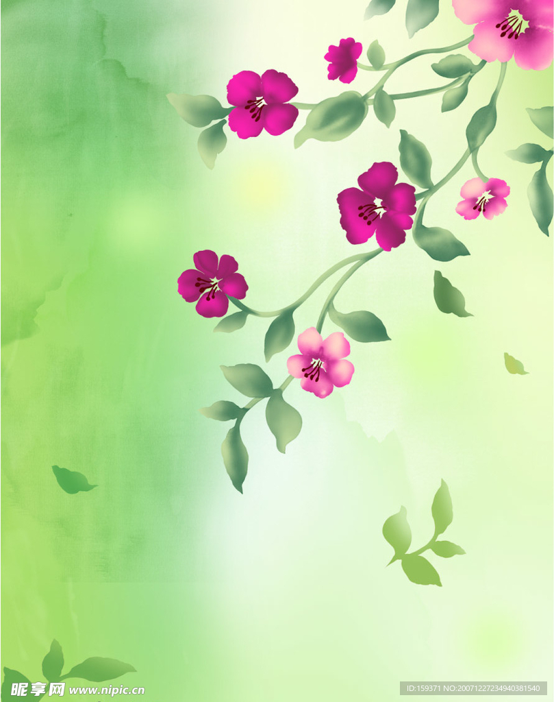 韩国设计花纹