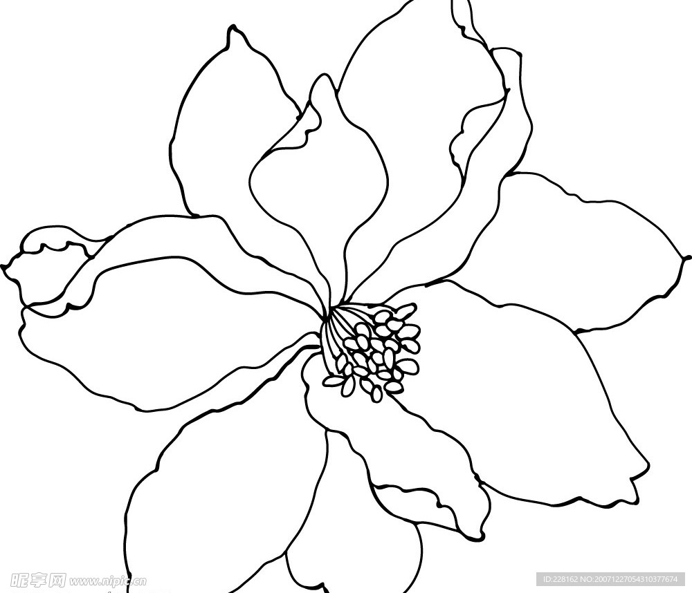 韩国花纹3