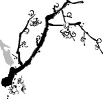 水墨梅枝