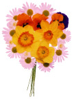 花草世界