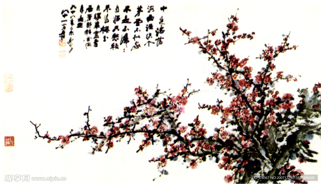 红梅