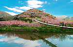 桃花吊桥