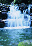 风景
