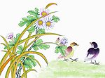 花鸟国画