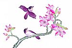 花鸟国画