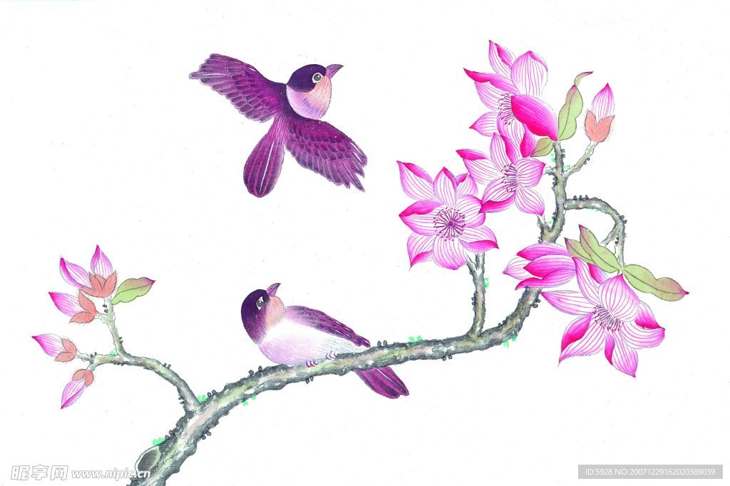 花鸟国画