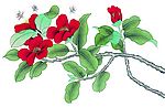 花鸟国画