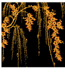 花边