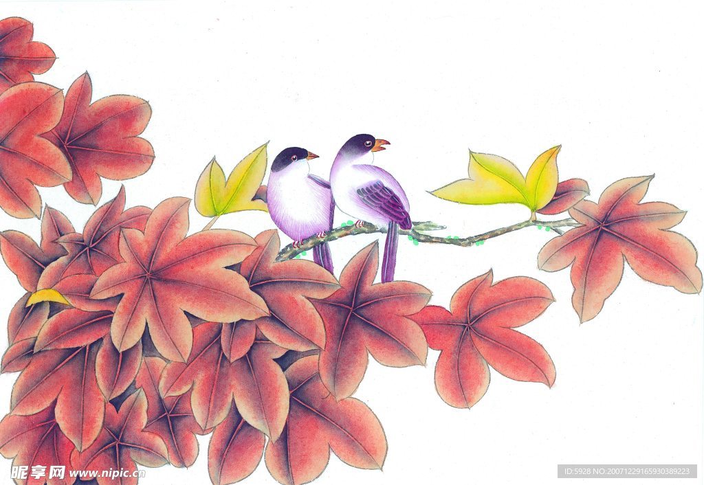 花鸟国画