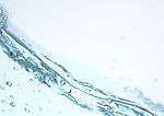 水点写真素材VOL.164