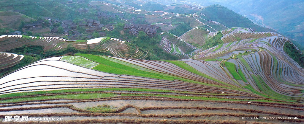 高山梯田