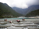 黑水滩03