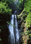 高山流水