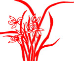 矢量兰花