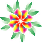 花朵插画