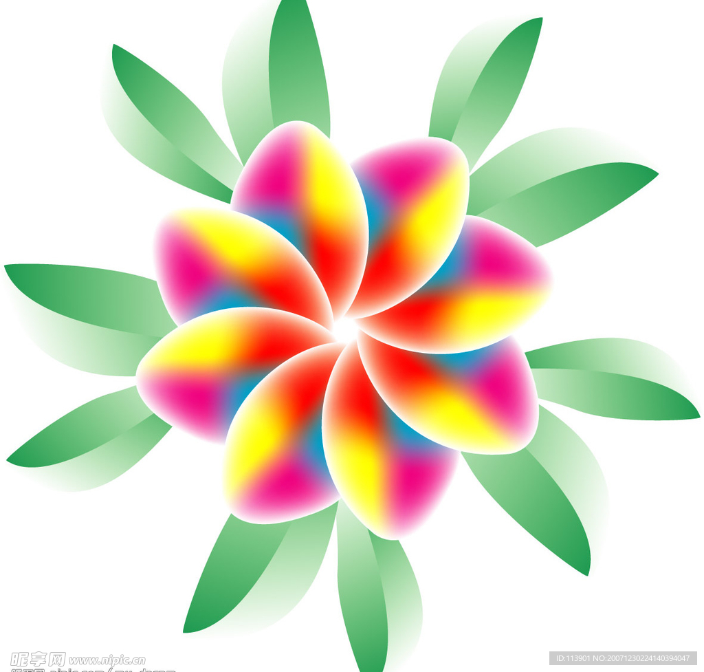 花朵插画