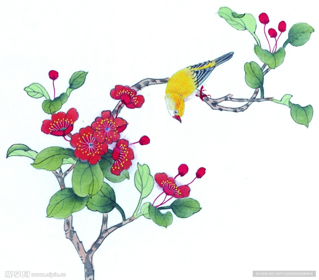 花鸟国画
