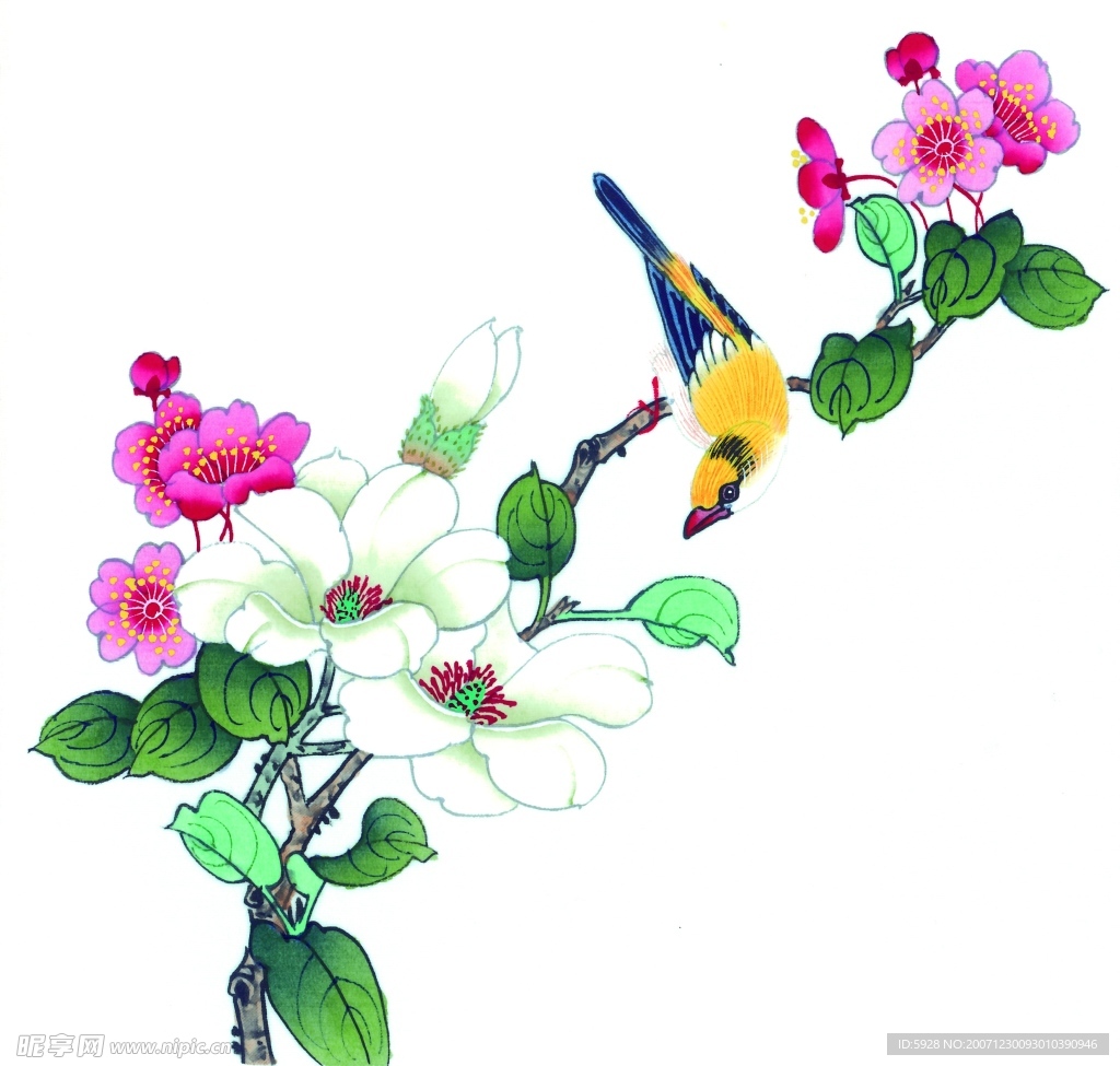 花鸟国画