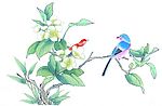 花鸟国画