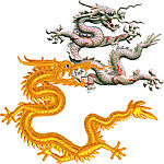 龙
