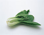 蔬菜