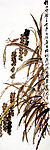 谷穗