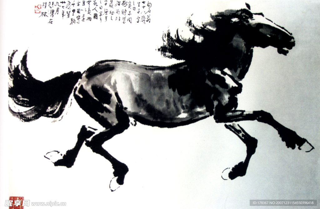 千里驹