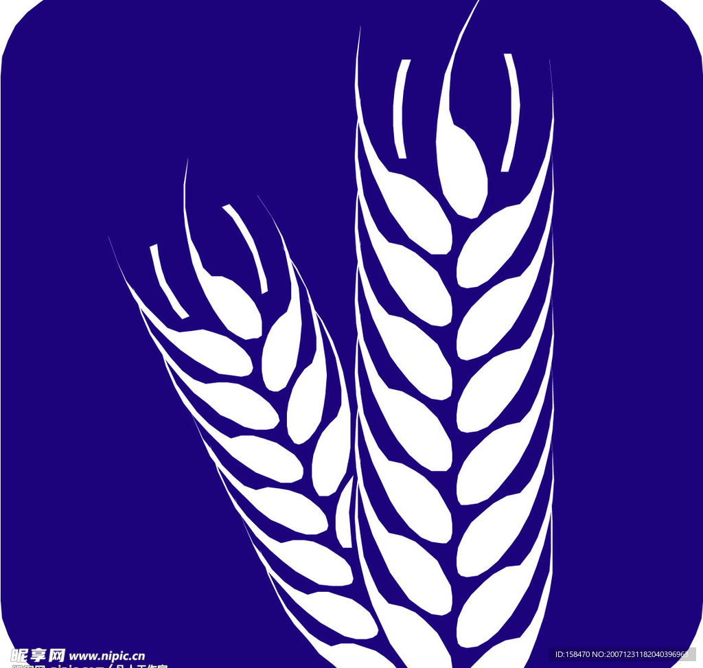 麦子