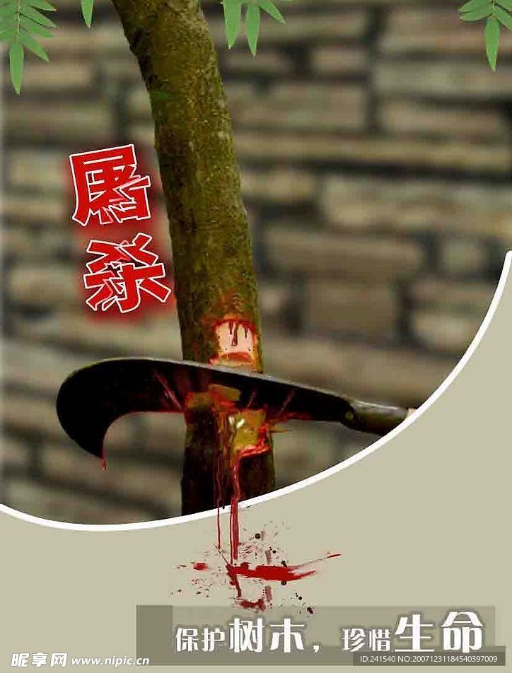 爱护树木