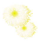 烟花