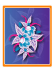 节日用花素材