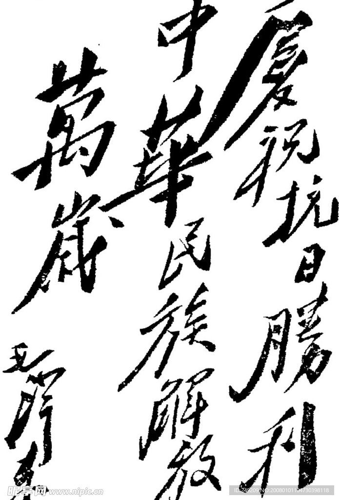 毛体
