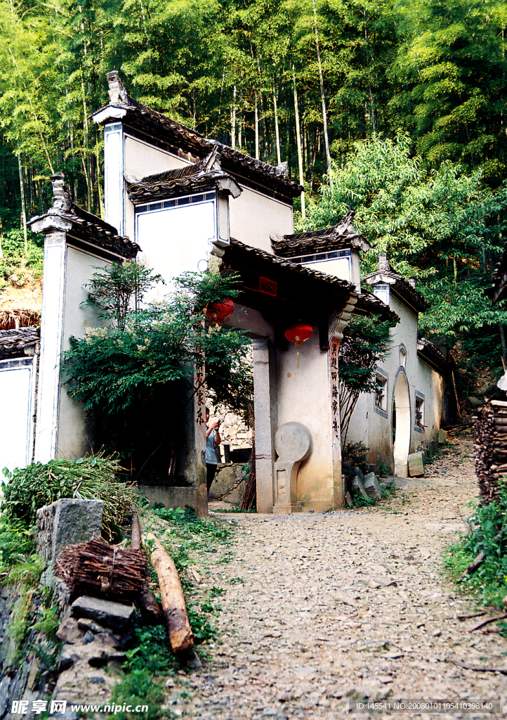 竹子