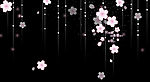 花恋